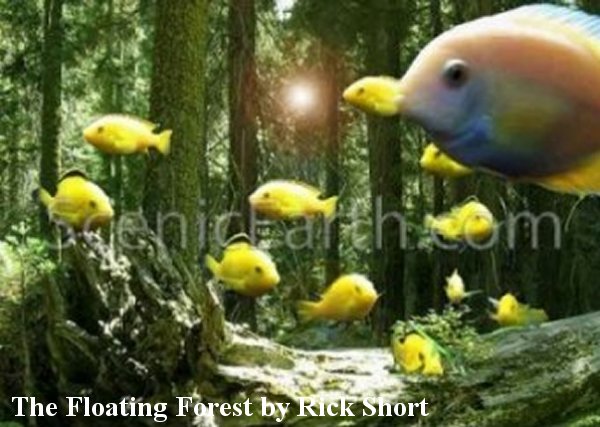 The Floating Forest