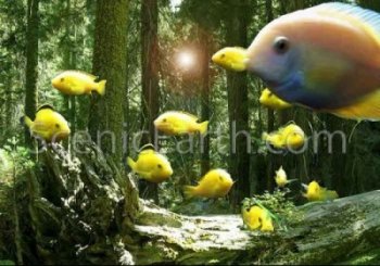 The Floating Forest - A digital painting of goldfish floating in a heavily wooded forest of trees
