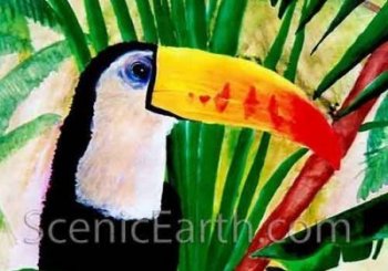 An art print of a Toucan resting in the branches of a tree in its native South American Jungle habitat