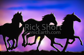 Three Wild Mustangs riding against a purple sky