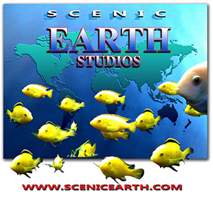 Scenic Earth Studios 30th Anniversary is March 2026.
